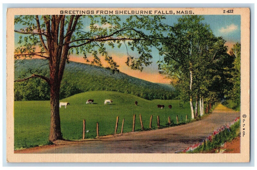 c1930's Greetings From Shelbourne Falls Massachusetts MA, Road Animals Postcard