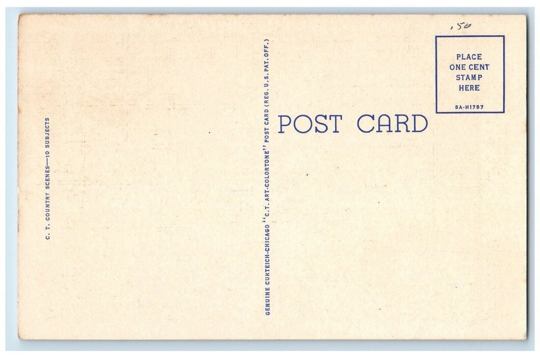 c1930's Greetings From Shelbourne Falls Massachusetts MA, Road Animals Postcard