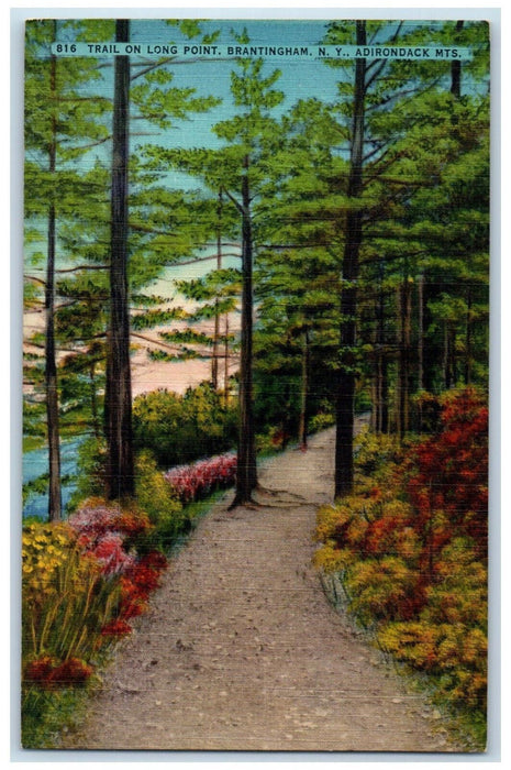 c1940's Trail Day On Long Point Brantingham New York NY Adirondack Mts. Postcard