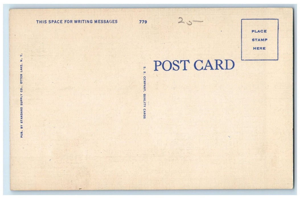 c1940's Trail Day On Long Point Brantingham New York NY Adirondack Mts. Postcard
