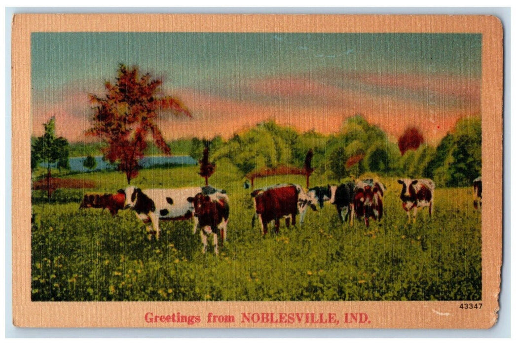 c1910's Greetings From Noblesville Indiana IN, Cows Scene Unposted Postcard