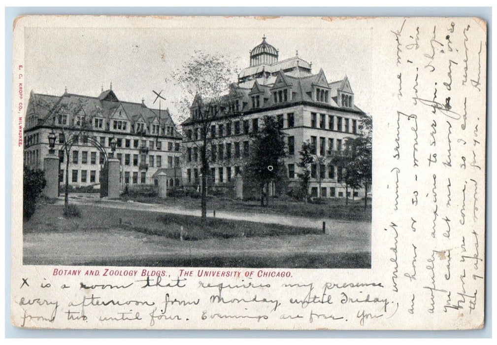 1907 Botany Zoology Building Exterior University Of Chicago Illinois IL Postcard