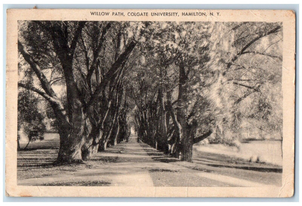 1947 Willow Path Colgate University Sidewalk Pathway Hamilton New York Postcard