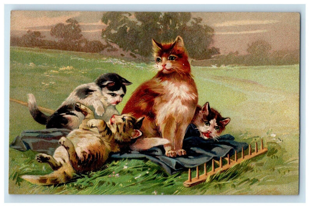 1910 Calico Cats Playing In Blanket Rake Embossed Kempton IL Antique Postcard