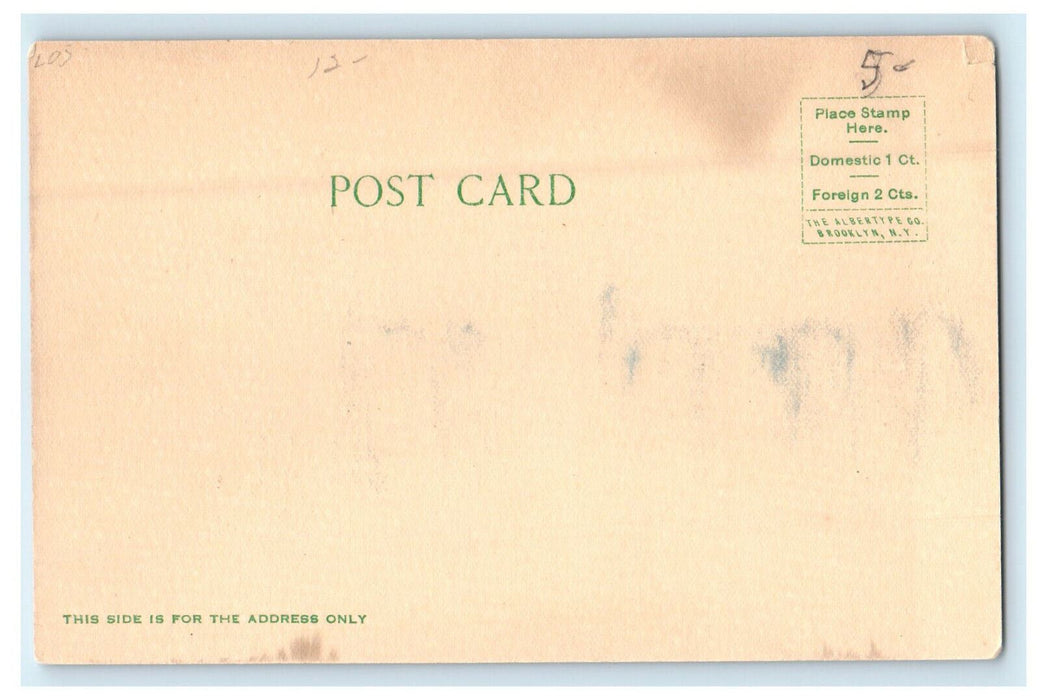 c1905s The First National Bank Bluefield West Virginia WV Unposted Postcard