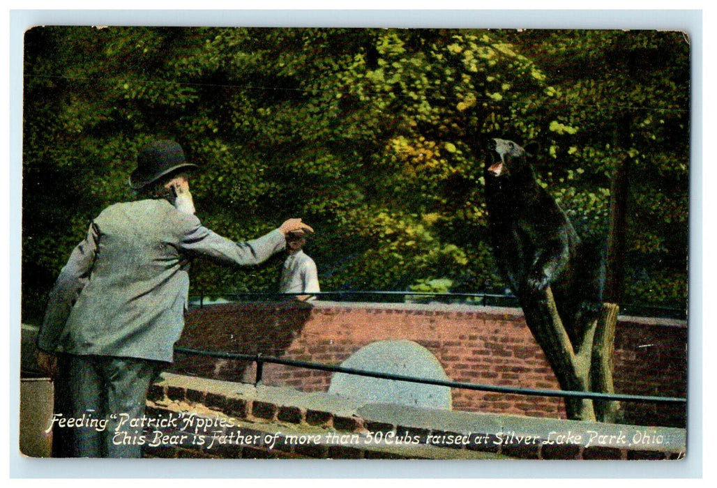 c1910s Feeding "Patrick" Apples Father of More Than 50 Cubs at Ohio OH Postcard
