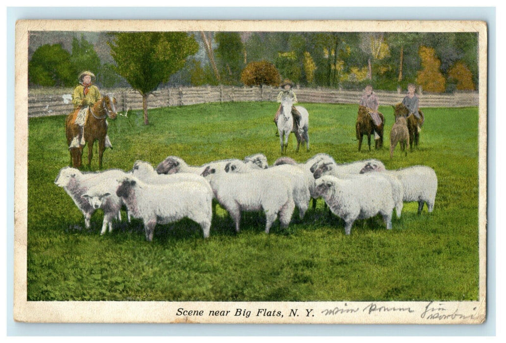 1915 Scene Near Big Flats New York Sheep Horses RPO Postcard