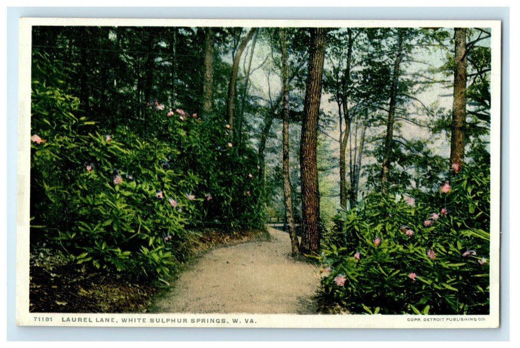 c1920 Flowers Scene Laurel Lane West Virginia WV Unposted Phostint Postcard