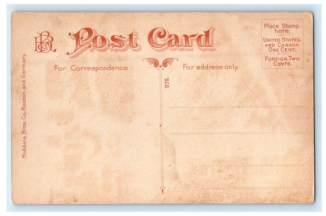 c1910s Paragon Park, Nantasket Beach By Night Massachusetts MA Postcard