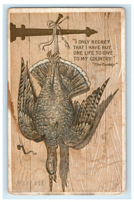 1906 One Life To Give To My Country Thanksgiving Turkey Hanging On Door Postcard