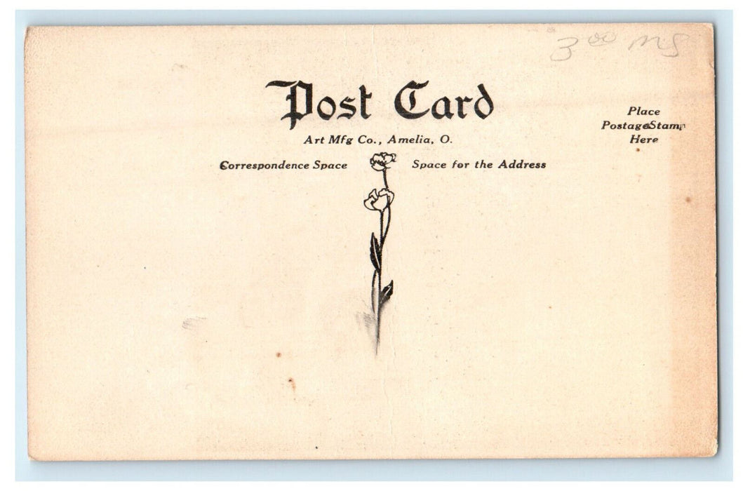 c1910s Presbyterian Church, Napoleon Ohio OH Unposted Antique Postcard