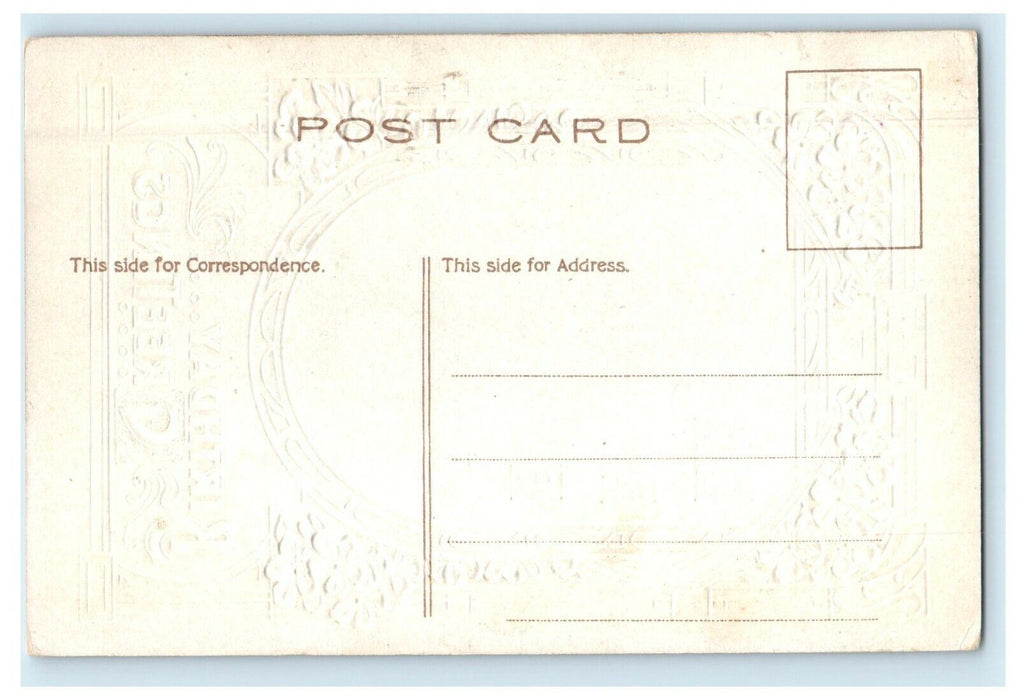 c1910's P. Sander Birthday Greetings Message Poem Embossed Art Nouveau Postcard