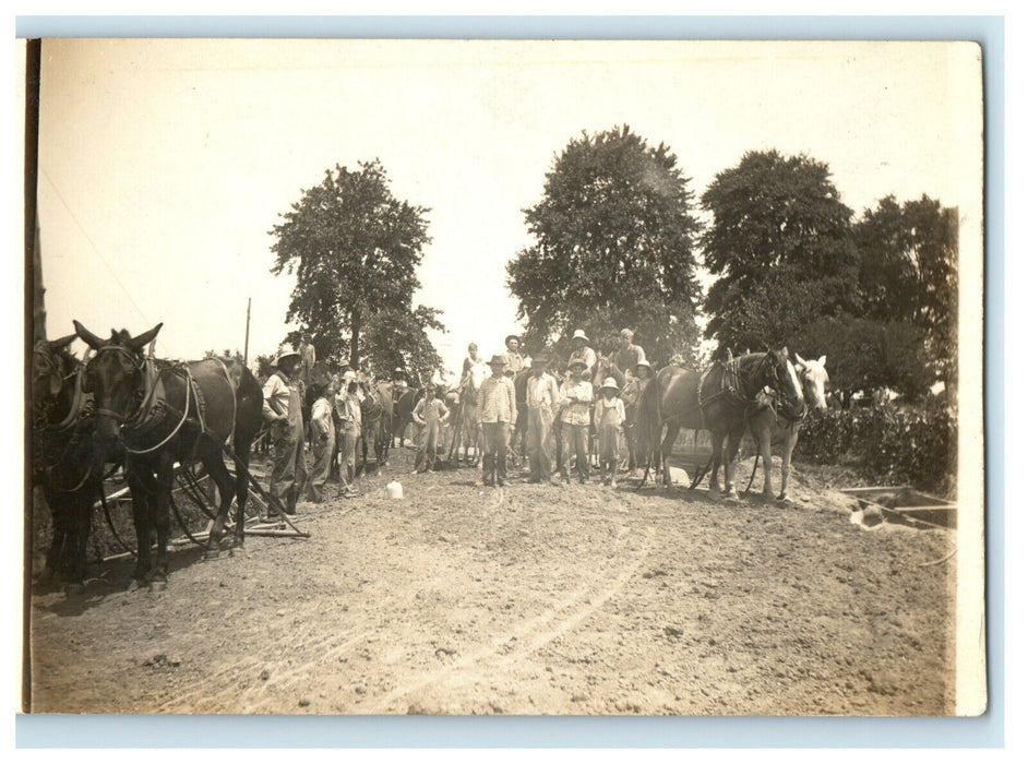 c1910 Road Construction Child Labor Horses Occupational RPPC Photo Postcard