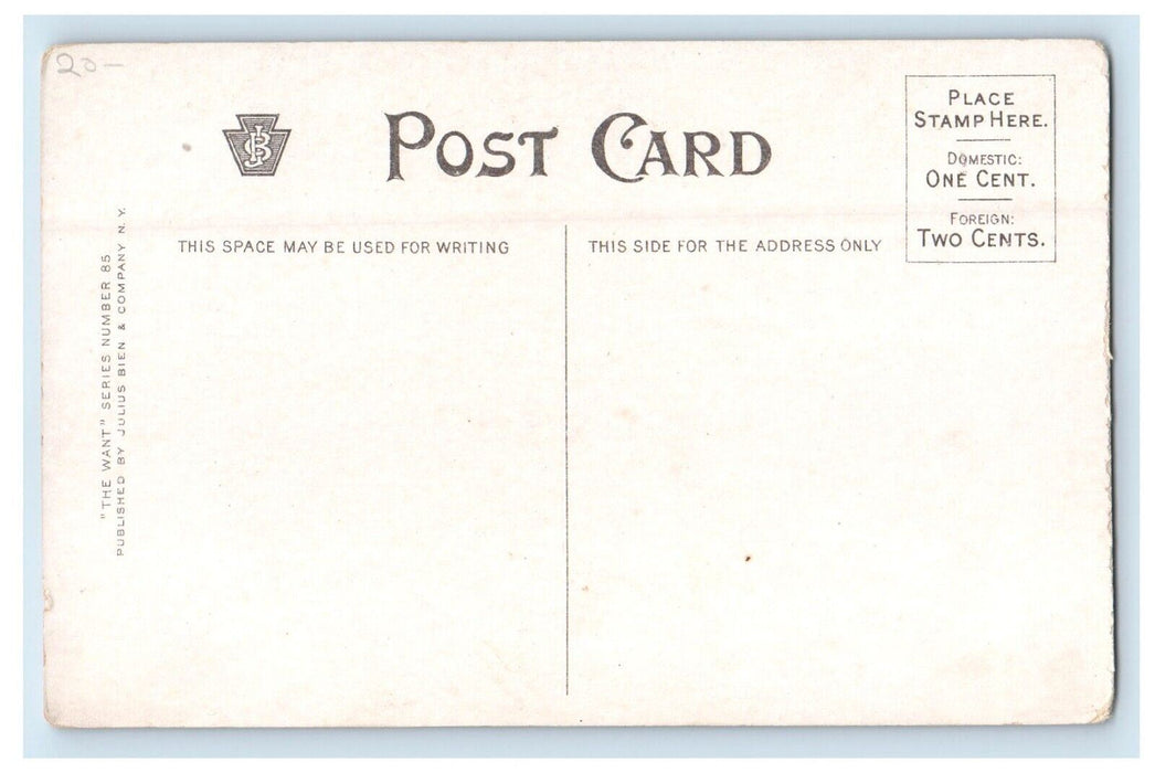 c1910's  Flat Wanted Little Girl Holding Brown Dog Julius Bien & Co. Postcard
