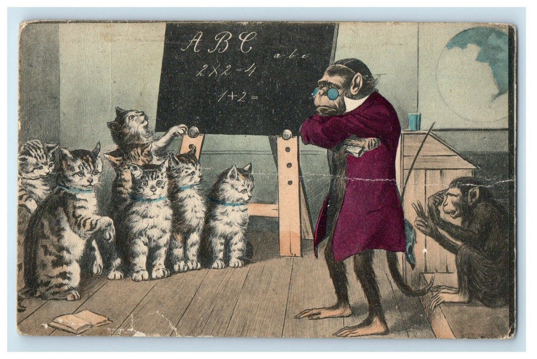 1906 Anthropomorphic Monkey Teaching Cats Math Alphabet Rochester NY Postcard
