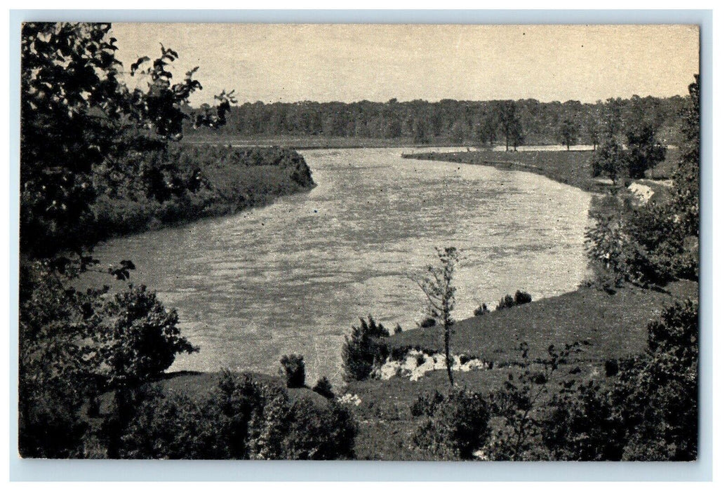 1956 Scenes Of Rustic Beauty St. Joe River Tabor Farm Sodus Michigan MI Postcard