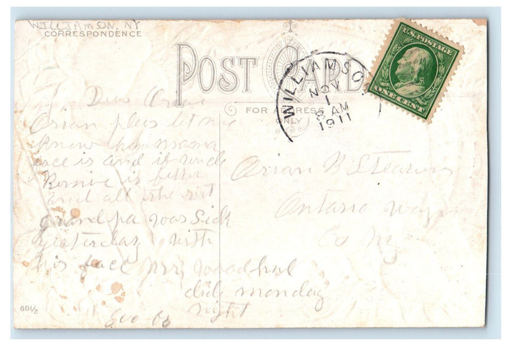 1911 Horse, Dog, Fruit, Greetings from Williamson New York NY Posted Postcard