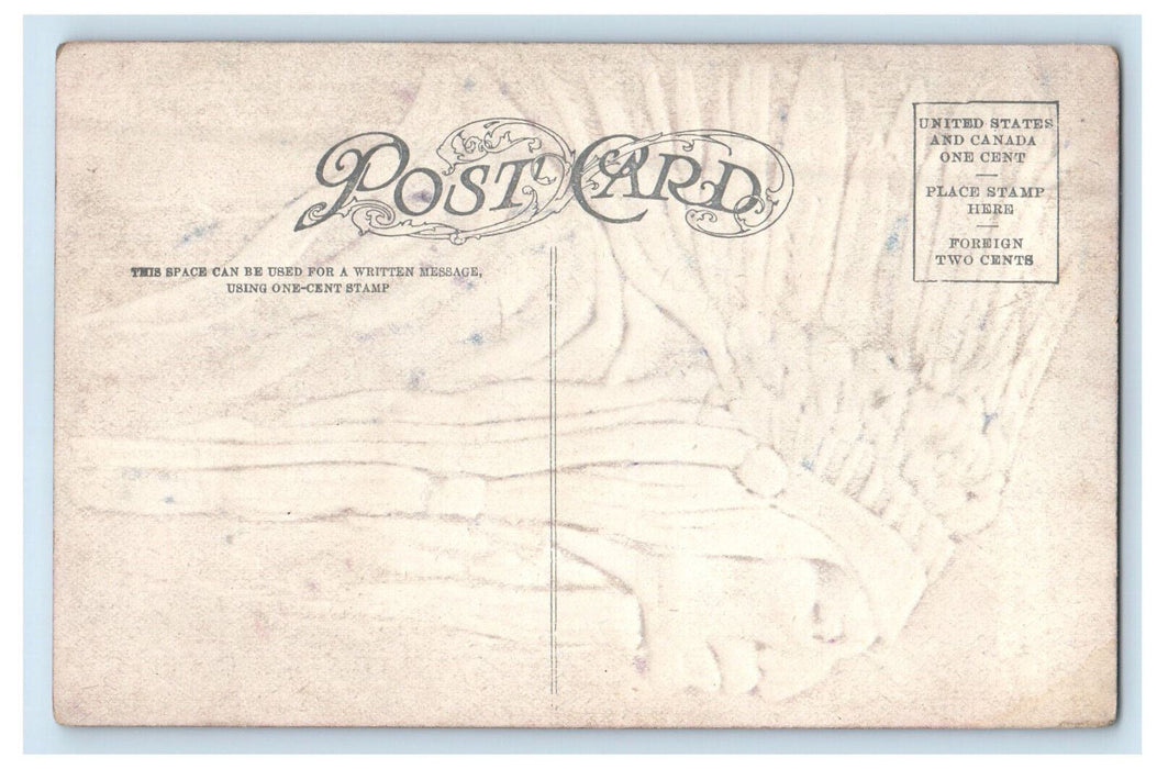 c1910 Chief Eagle Feather Indian Tribe Embossed Unposted Postcard