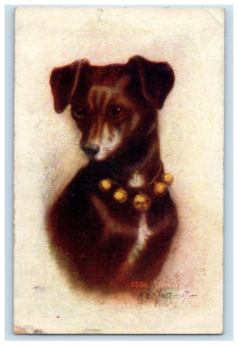 c1910's Cute Dog Studio Portrait Kempton Illinois IL Posted Antique Postcard