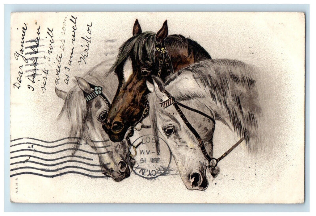 1907 View Of Three Horses Orange Texas TX Posted Antique Postcard