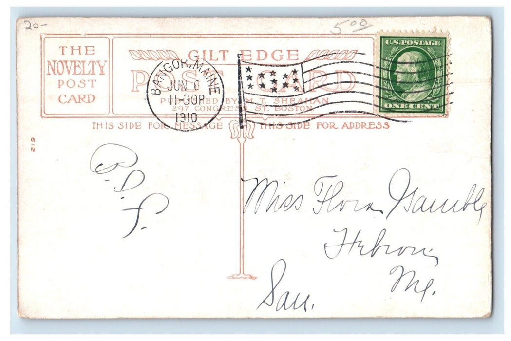 1910 Little Girl Carry Kitten Cat, Sad Dog Bangor Maine ME Antique Postcard