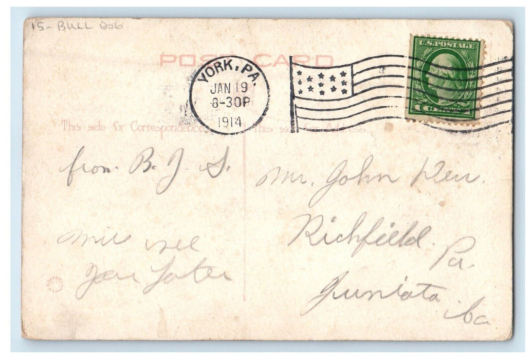 1914 Bulldog Girl Dress Black And Red Ribbon York Pennsylvania PA Postcard