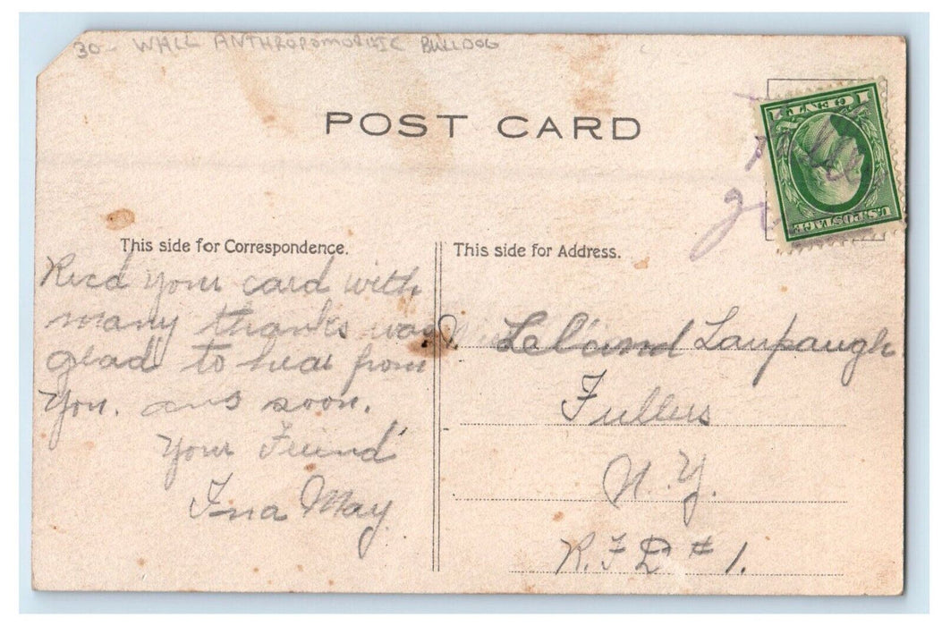 c1910's Wall Anthropomorphic Bulldog Checkered Coat Posted Antique Postcard