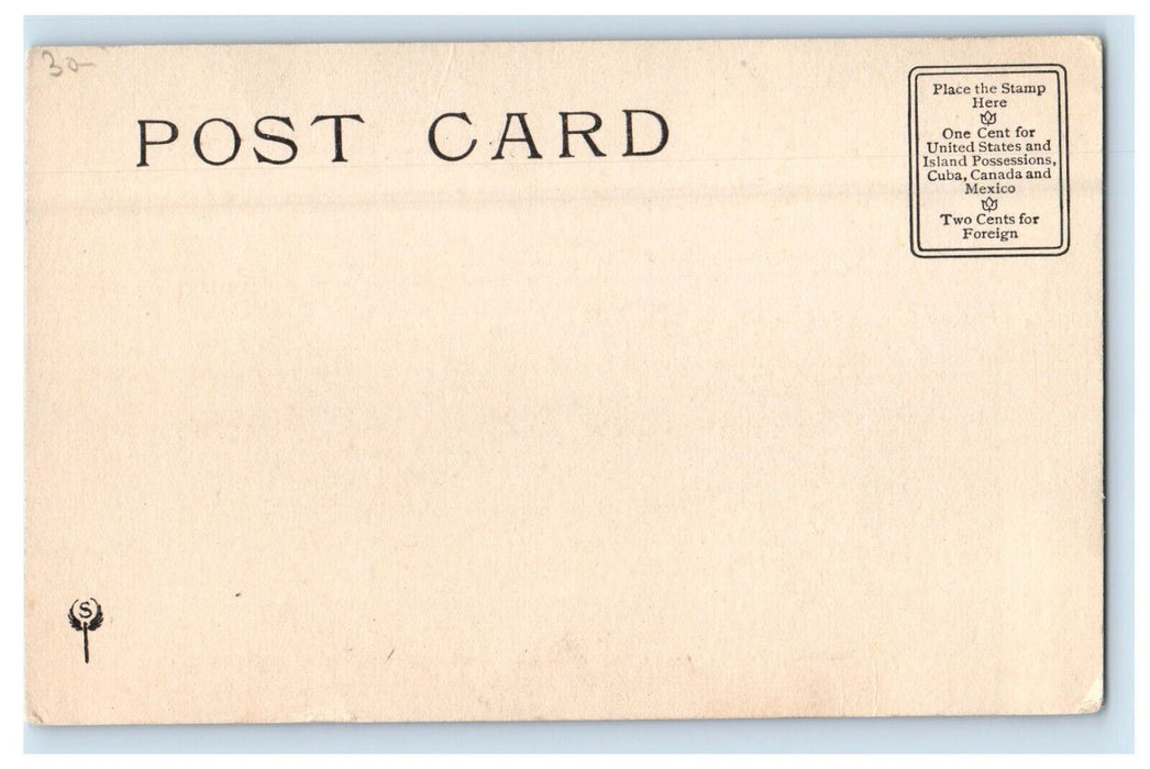 c1905 The Roosevelt Bears At The Country School Unposted Antique Postcard