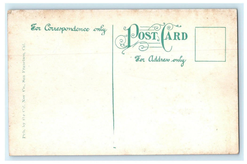 1909 The Parapet, Sutro Heights, San Francisco, California CA Postcard