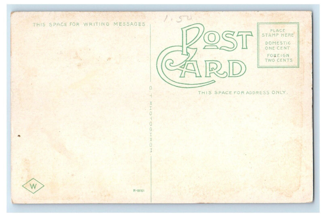 c1930's View Of Rollstone Boulder Fitchburg Massachusetts MA Vintage Postcard