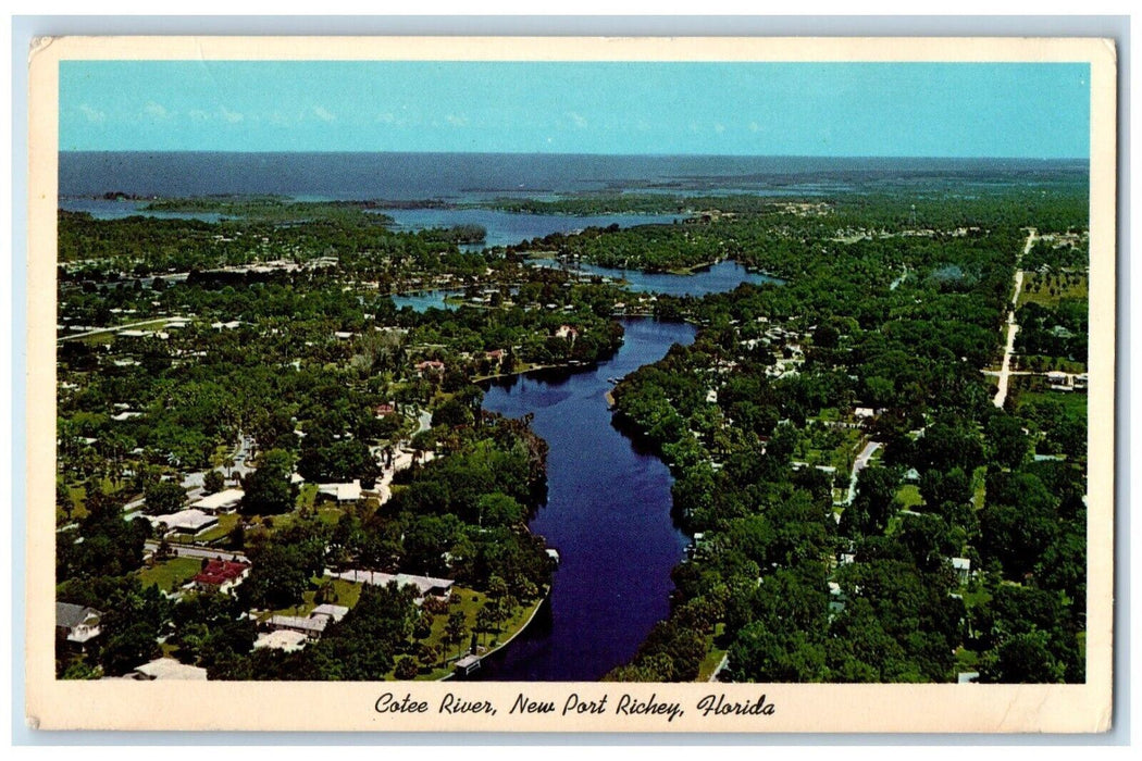 c1960's Gulf of Mexico, Cotee River New Port Richey Florida FL Postcard