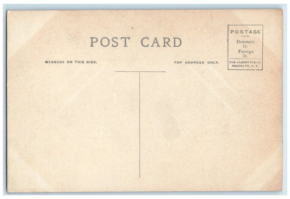 c1910 Interior View of St. Matthew's Evangelical Church Buffalo NY Postcard