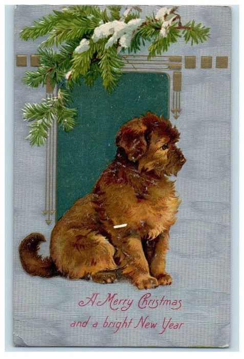 c1910's Christmas Greeting Poodle Dog Pine Snow Winsch Back Embossed Postcard