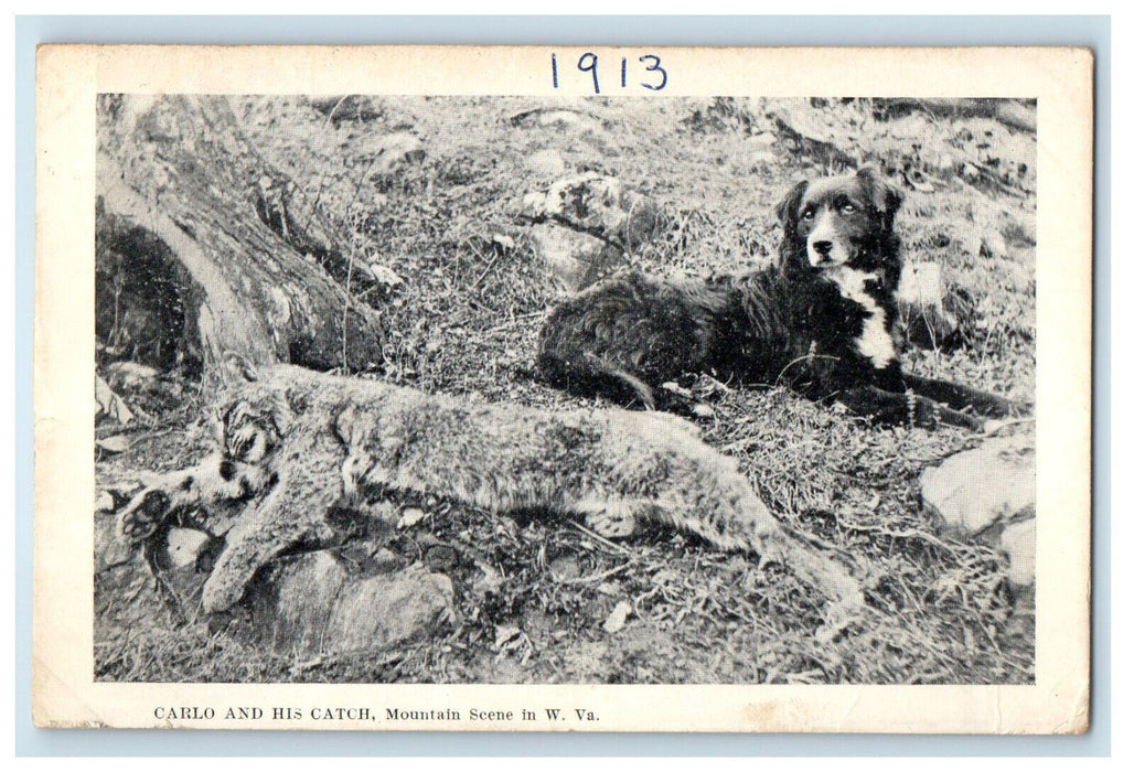 1913 Dog Carlo and His Catch Mountain Scene in WV Moorefield WV Postcard