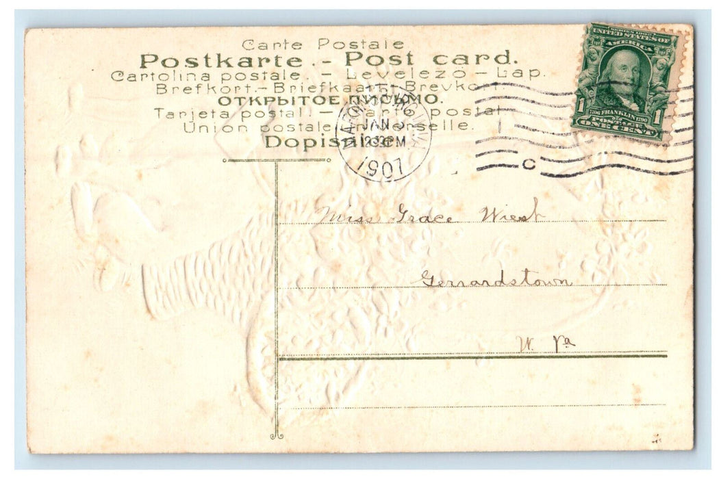 1907 Dog, Flower Basket Greetings from Martinsburg WV Embossed Postcard