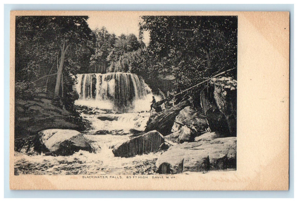 c1905 Blackwater Falls Davis West Virginia WV Antique Unposted Postcard