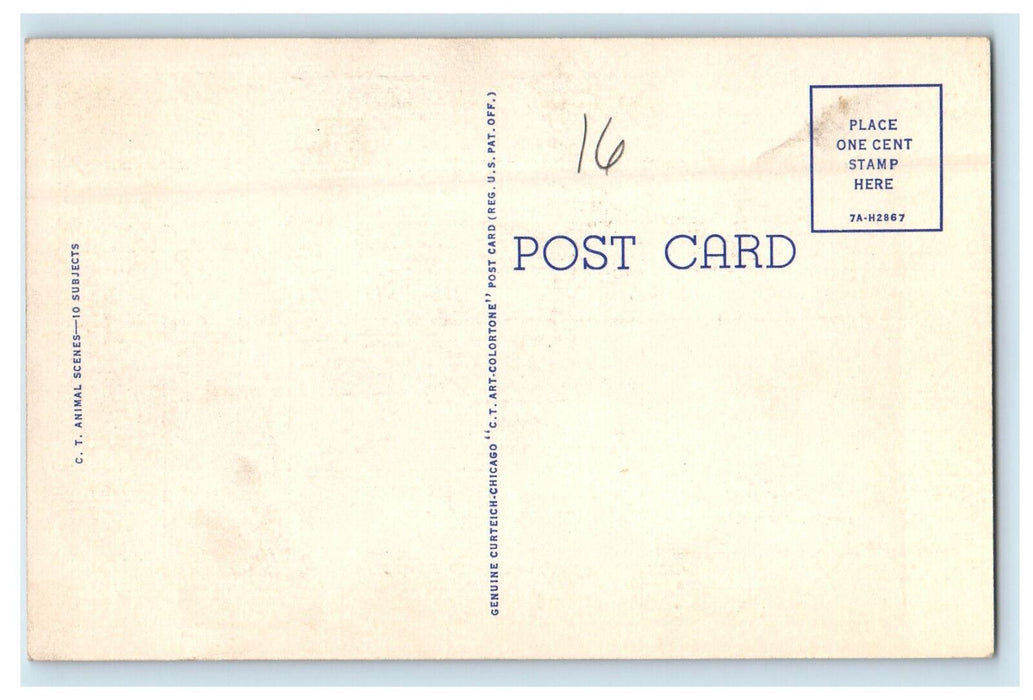 c1940s Isnt He Cute? CT Animal Scene 10 Subjects Unposted Postcard