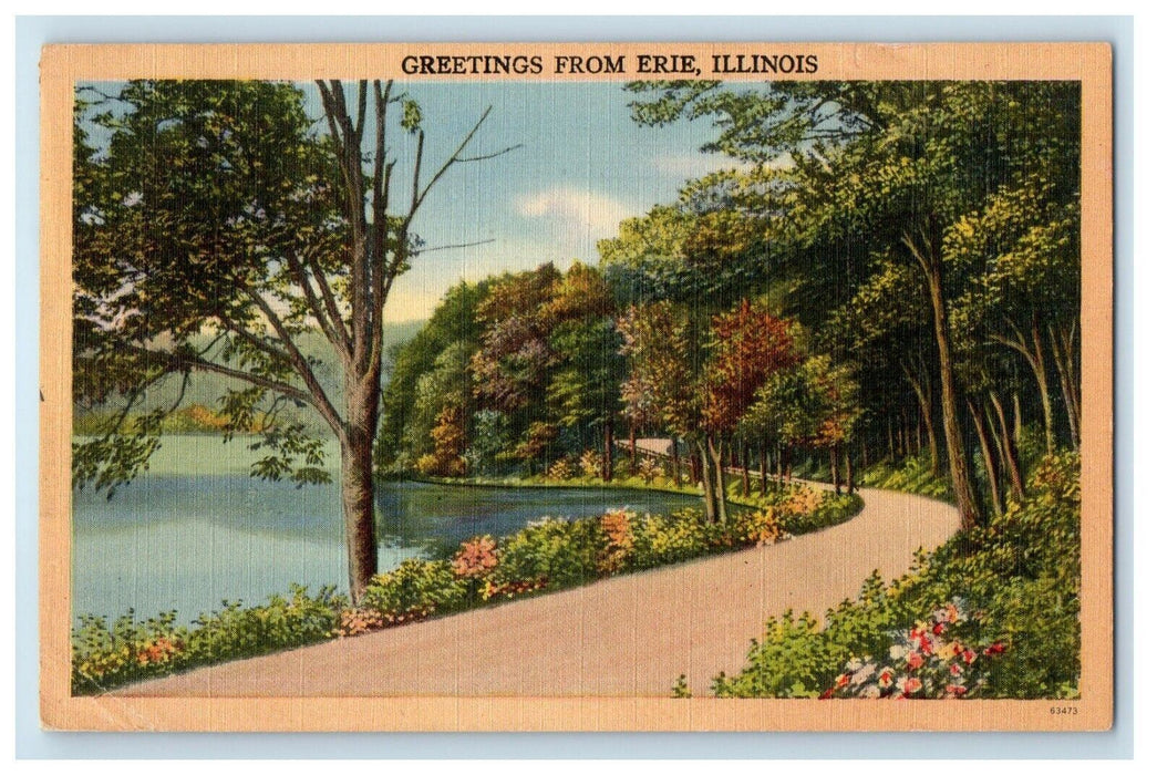 Greetings From Erie Illinois IL, Road And Lake View Posted Vintage Postcard