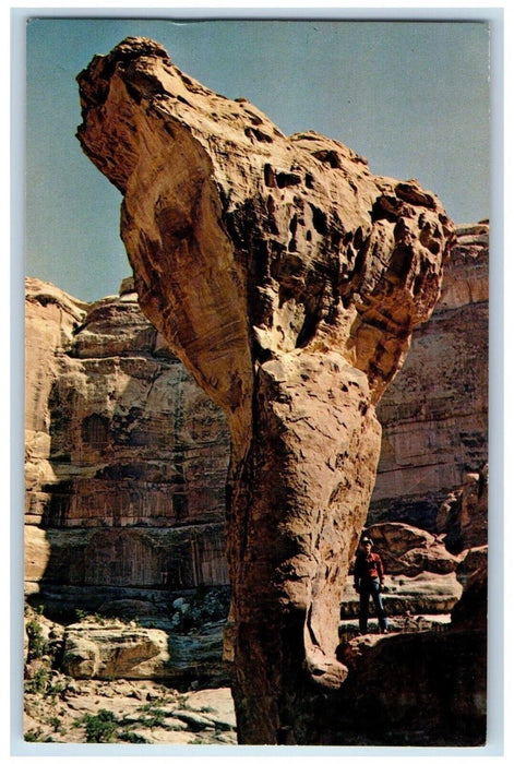 c1960's The Molar Rock, "Dentist Delight" Canyonlands National Park UT Postcard