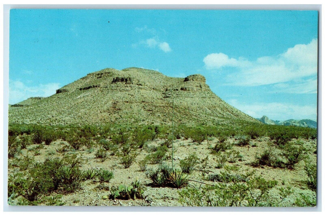 c1960's Turtleback Mountain, Famous Landmark in Van Horn Texas TX Postcard