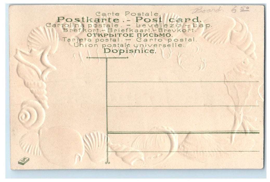 c1910's Souvenir From Kokomo Indiana IN, Beach Shells Embossed Antique Postcard