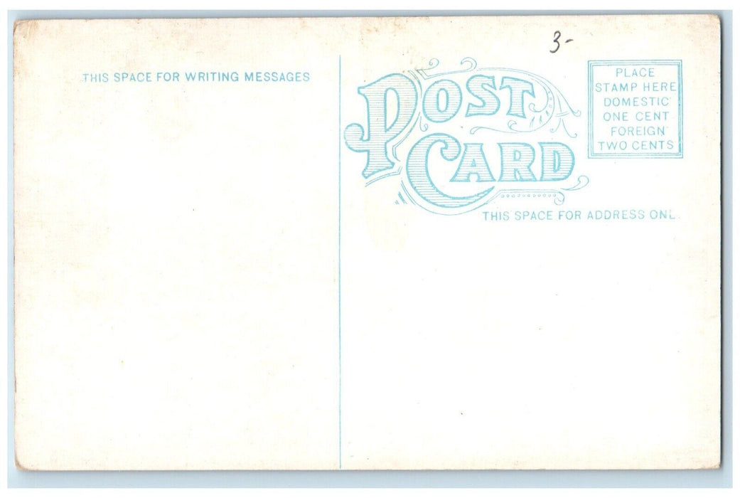 c1910 Beach at Belle Island Detroit Michigan MI Antique Unposted Postcard