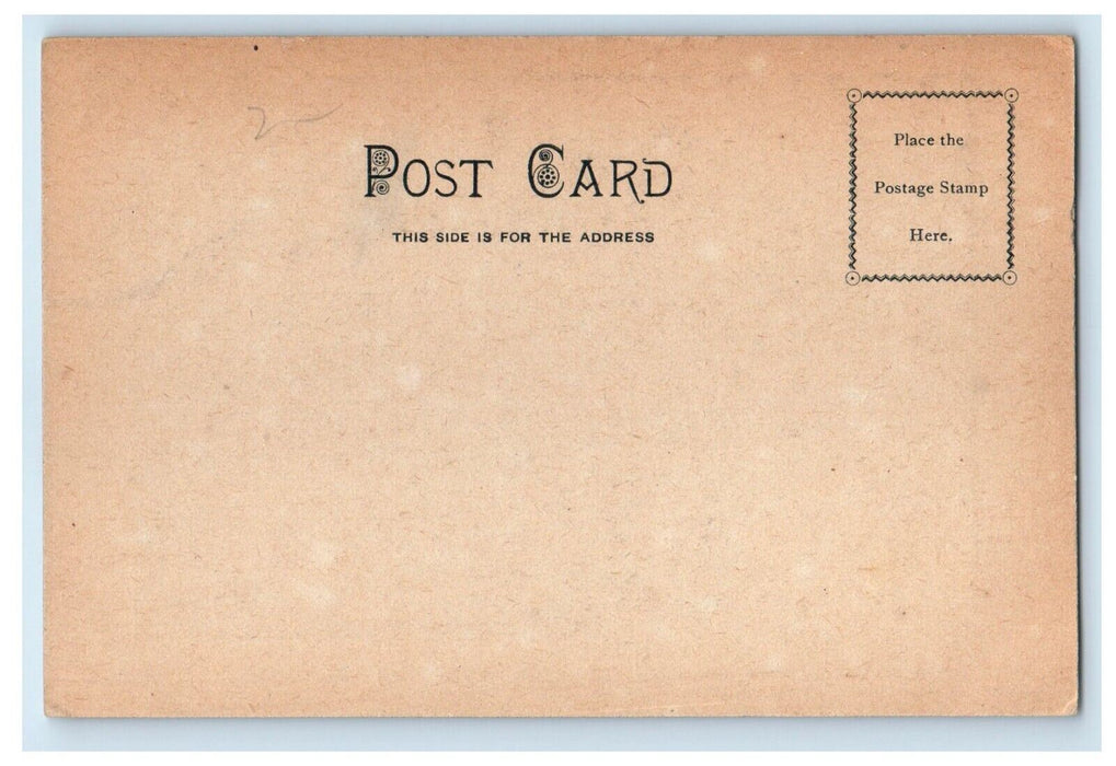c1905 Rollstone National Bank Horse Winter Fitchburg Massachusetts MA Postcard