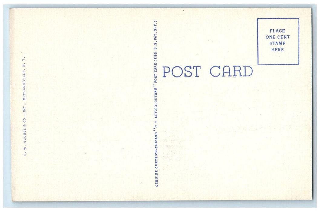 c1950's View of Sacandaga Reservoir from High Rock Lodge Sacandaga NY Postcard