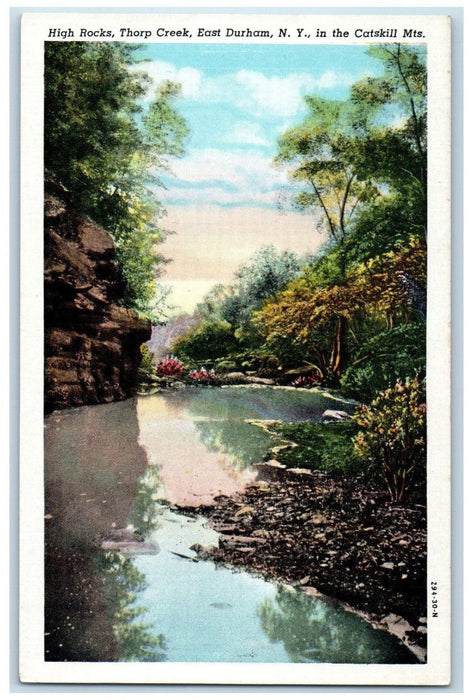 c1920's High Rocks Thorp Creek East Durham Catskill Mts. New York NY Postcard