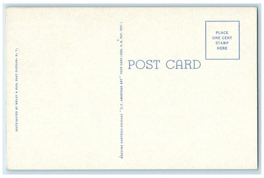 c1920's High Rocks Thorp Creek East Durham Catskill Mts. New York NY Postcard
