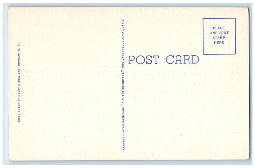 c1940's Fern Cliff House East Durham Catskill Mts. New York NY Postcard