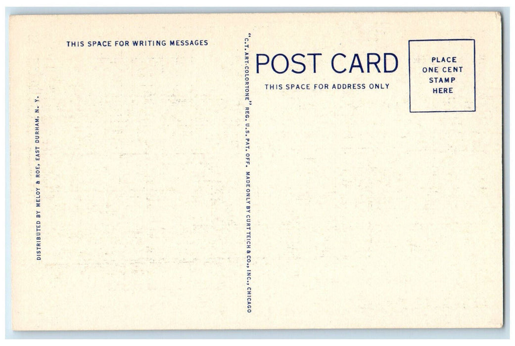 c1950's Edgewood Falls Farm East Durham Catskill Mts. New York NY Postcard