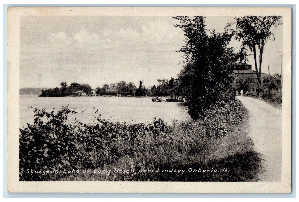 1945 Sturgeon Lake at Long Beach Near Lindsay Ontario Canada Postcard