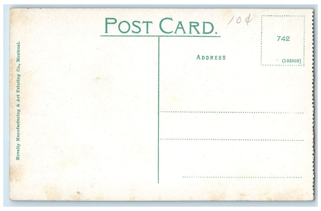 c1910 Court House Fort William Ontario Canada Antique Unposted Postcard